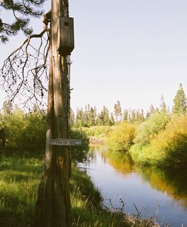 River with Birdhouse